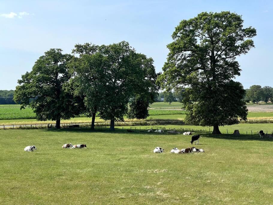 Woonboerderij มาร์เคโล ภายนอก รูปภาพ